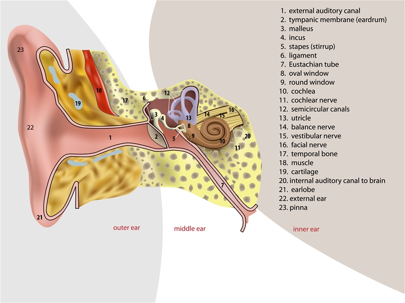 hearing test